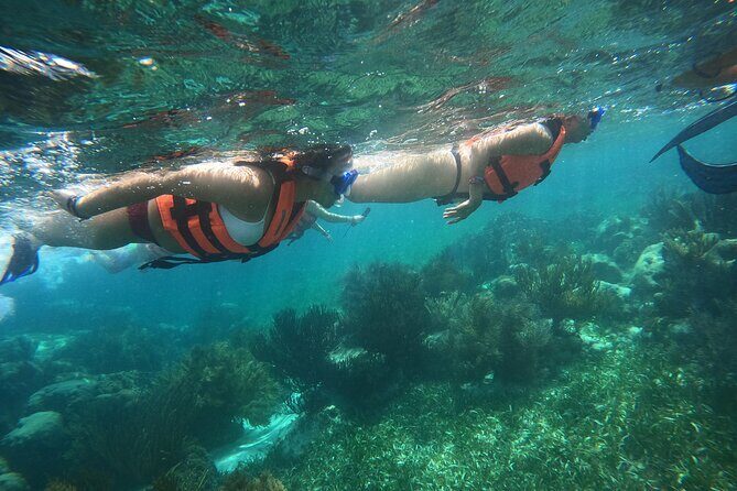 Snorkel in the beautiful reef of Puerto Morelos with transport - A Practical Overview of the Tour