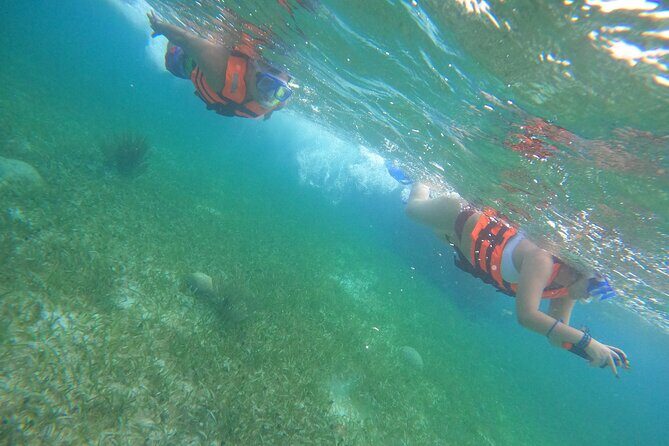 Snorkel in the beautiful reef of Puerto Morelos with transport - Are There Any Drawbacks?