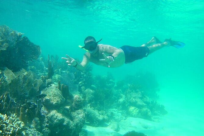 Snorkel in the Costa Maya Reef and Rest on the Beach - The Sum Up: Is It Worth It?