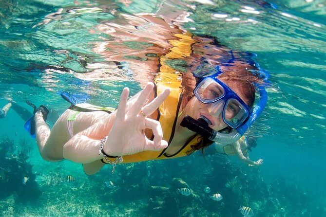 Snorkel in the second largest reef in the world Colorful tour in Puerto Morelos - Practical Details and Value