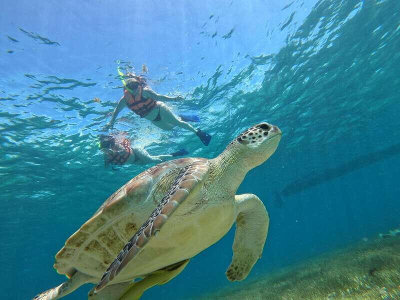 SNORKEL IN TULUM REEF, BOAT RIDE AND CALETA - Key Points