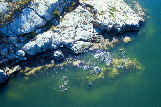 Snorkel, Kayak, and Seal Adventure: Vancouver Boat Tour - Wildlife Encounters