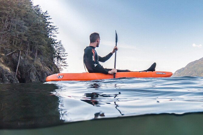 Snorkel, Kayak, and Seal Adventure: Vancouver Boat Tour - Safety Measures