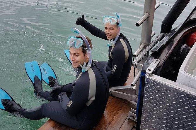 Snorkel, Kayak, and Seal Adventure: Vancouver Boat Tour - Accessibility Information