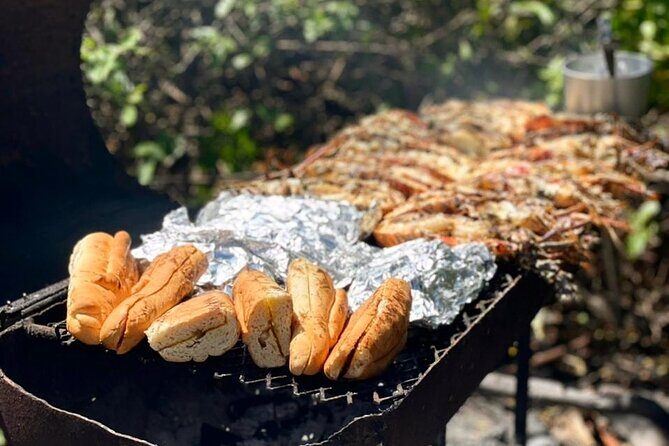 Snorkel - Lobster Lunch Cruise to Bird Island and Paradise Reef - Setting the Scene: Antigua’s Secluded Islands and Coral Reefs