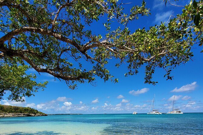 Snorkel - Lobster Lunch Cruise to Bird Island and Paradise Reef - Relaxation, Family-Friendly Vibes, and Atmosphere