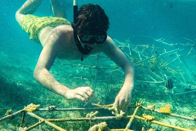 Snorkel Lovers for All Ages & Premium Seafood Lunch in Punta Cana - FAQ