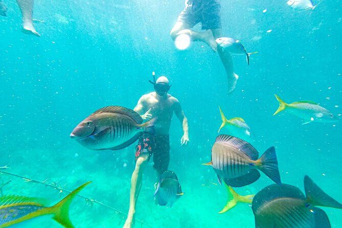 Snorkel Lovers for All Ages & Premium Seafood Lunch in Punta Cana - Final Thoughts