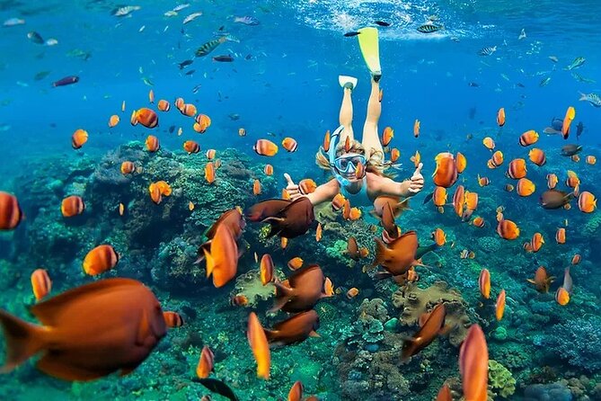 Snorkel on a Navy Boat in Kealakekua Bay Reef - Meeting and Pickup Details