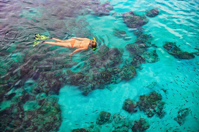 Snorkel on a Navy Boat in Kealakekua Bay Reef - Pricing and Booking Options