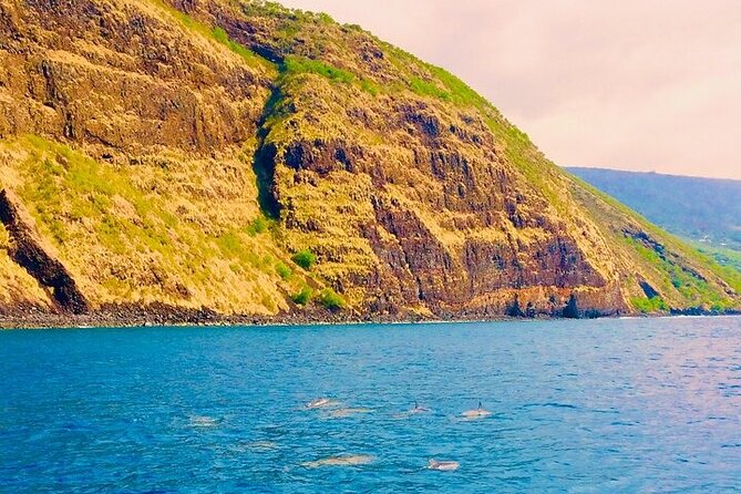 Snorkel on a Navy Boat in Kealakekua Bay Reef - Frequently Asked Questions