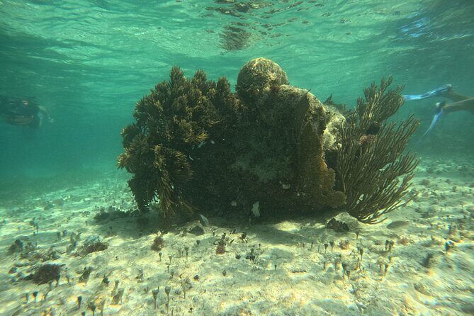 Snorkel Paradise Cancun 5 in 1 For Non Swimmers - Dive into the Details of the Snorkel Paradise 5 in 1 Tour