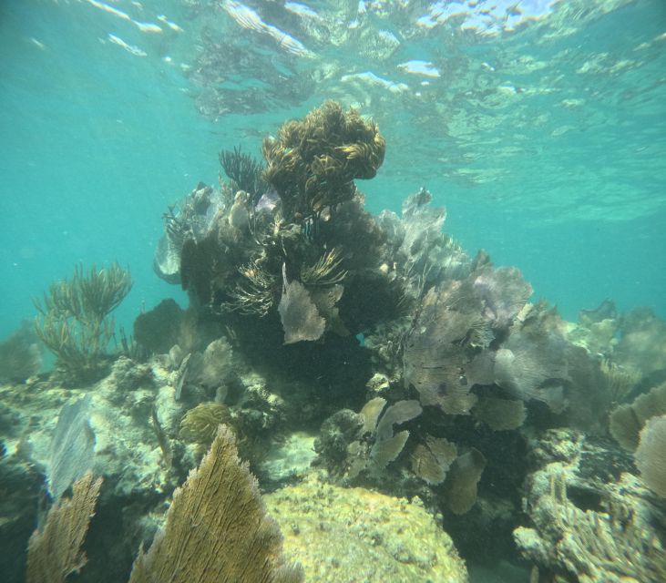 Snorkel Paradise Cancun and Underwater Museum in Nizuc - Highlights of the Tour