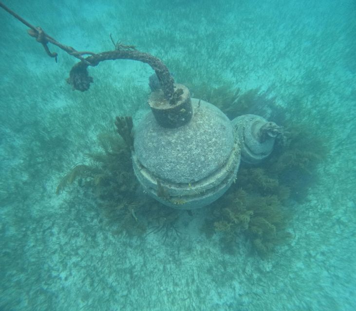 Snorkel Paradise Cancun and Underwater Museum in Nizuc - Restrictions and Requirements