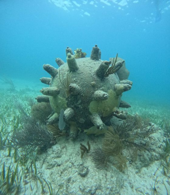 Snorkel Paradise Cancun and Underwater Museum in Nizuc - Cancellation Policy