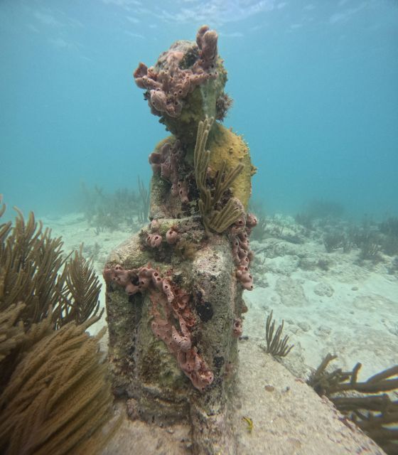 Snorkel Paradise Cancun and Underwater Museum in Nizuc - Getting to the Tour Location