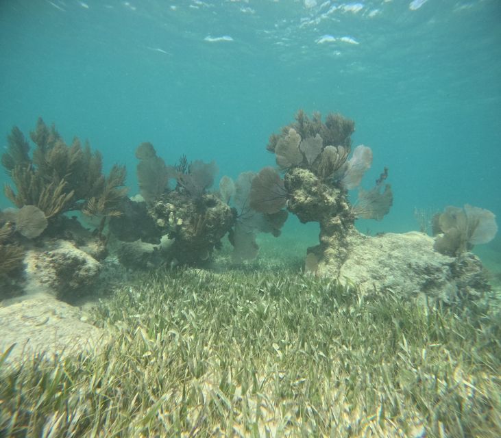 Snorkel Paradise Cancun and Underwater Museum in Nizuc - Frequently Asked Questions