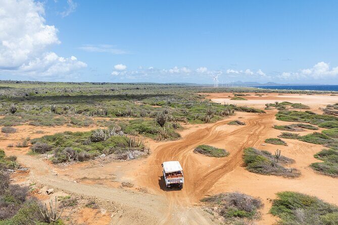 Snorkel Safari Tour - Key Points