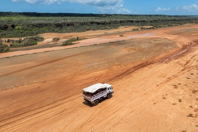 Snorkel Safari Tour - What We Loved and Consider