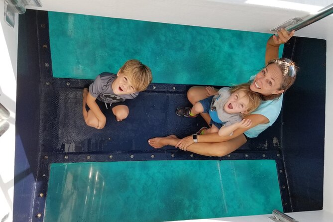 Snorkel, Sandbar & Dolphin Excursion - Customer Experiences