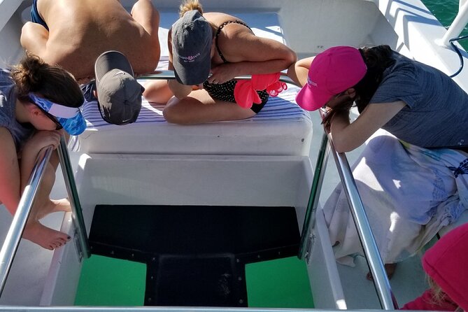 Snorkel, Sandbar & Dolphin Excursion - Snorkeling Adventure