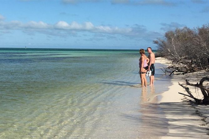 Snorkel, Sandbar & Dolphin Excursion - Planning Your Trip