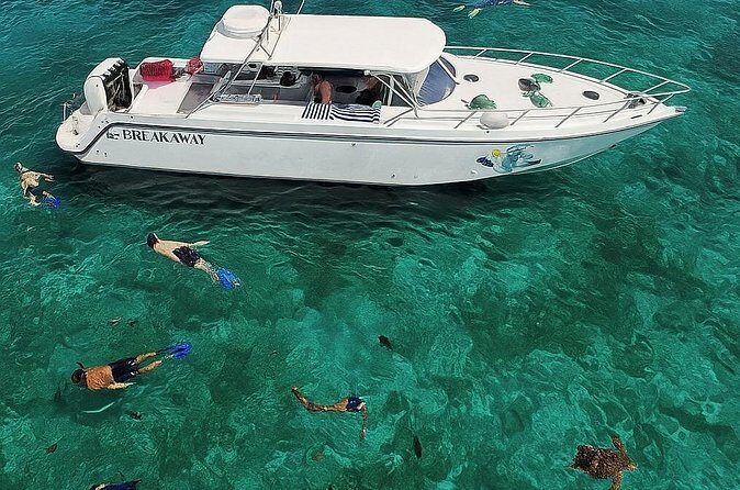 Snorkel St. John Tour from Sapphire and Margaritaville - The Sum Up