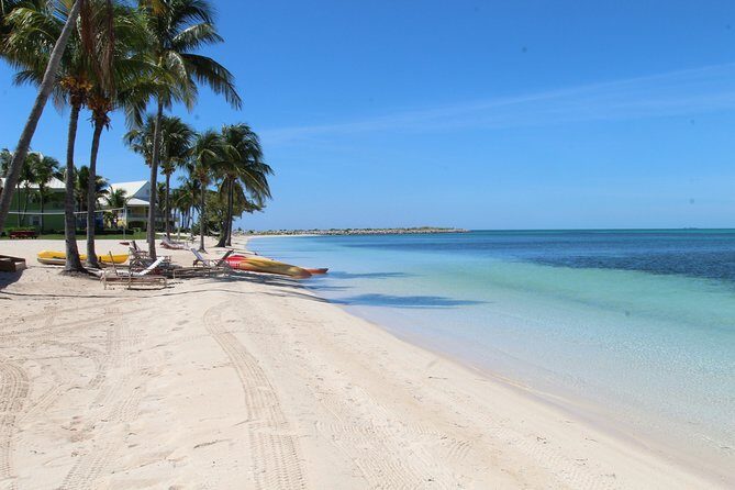 Snorkel/Swim with the Turtles Experience - The Value for Money