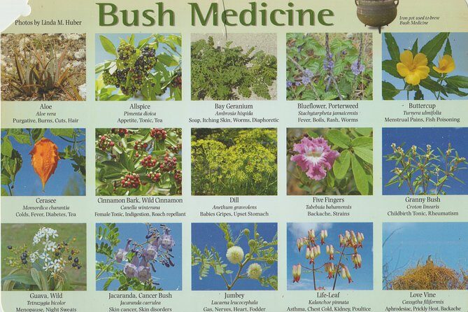 Snorkel/Swim with the Turtles Experience - Final Thoughts