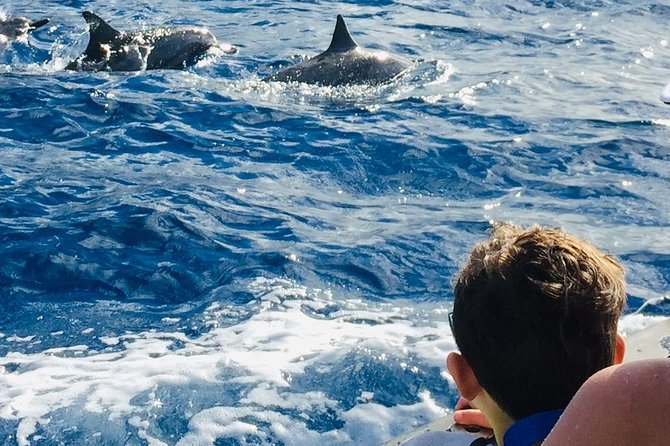 Snorkel & Swim With Turtles! Minutes From Waikiki - Reservation Instructions