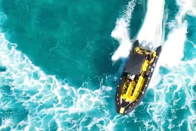 Snorkel & Swim With Turtles! Minutes From Waikiki - Frequently Asked Questions