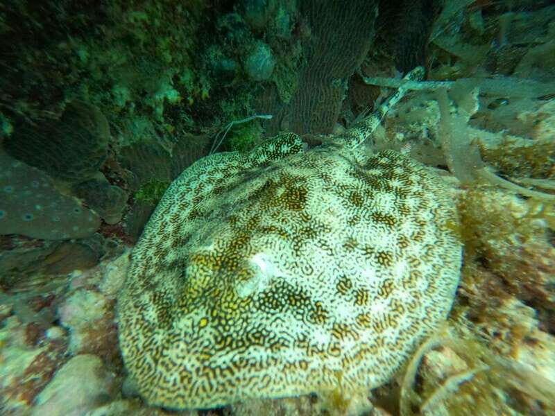 SNORKEL & TEQUILA TASTING - Key Points