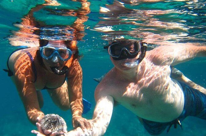 Snorkel Tour - A Detailed Look at the Snorkel Tour Experience