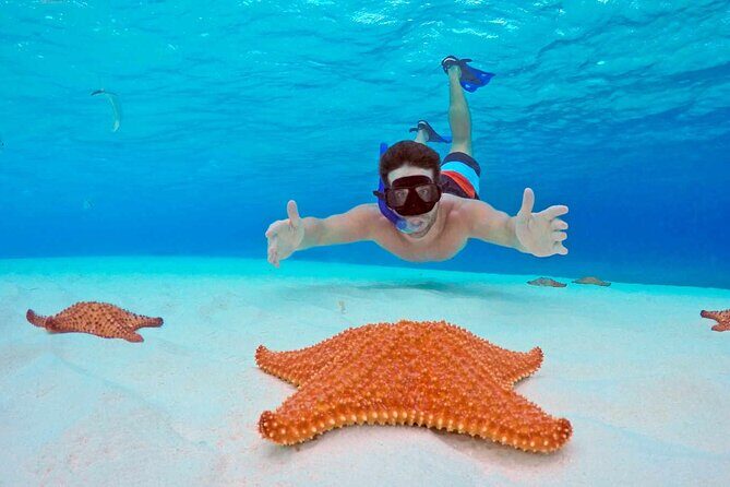 Snorkel Tour in Cozumel - The Experience: An In-Depth Look