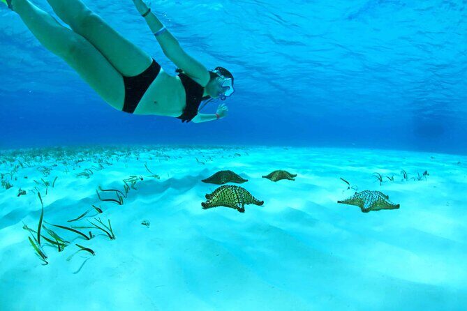 Snorkel Tour in Cozumel - FAQs