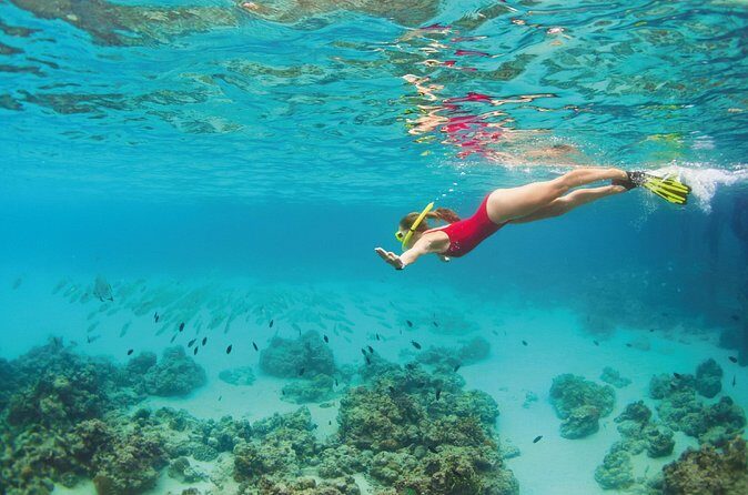 Snorkel Tour in Cozumel - Final Word