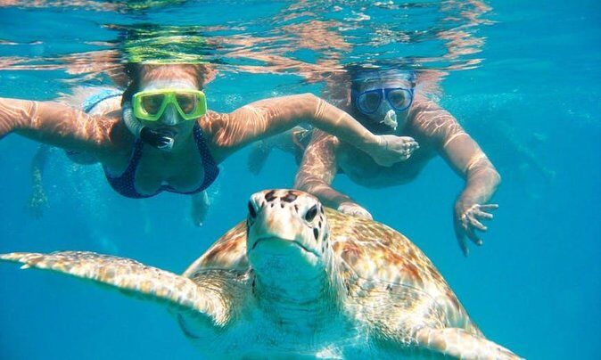 Snorkel Tour in Curacao - A Deep Dive into the Snorkel Tour Experience in Curacao