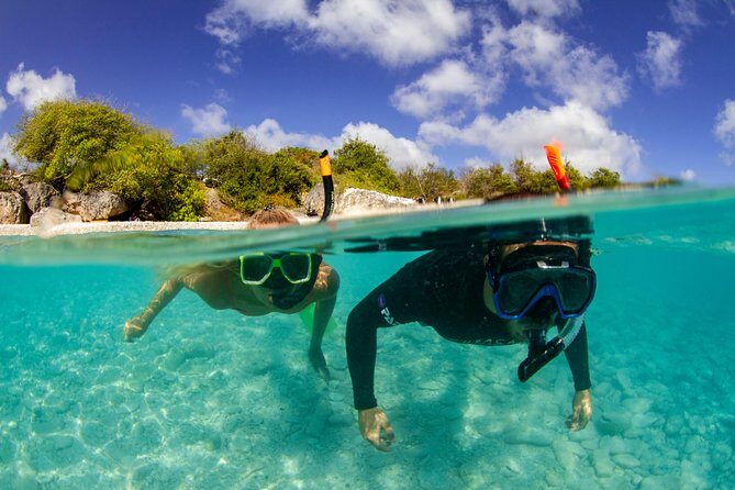Snorkel Tour in Curacao - Who Will Love This Tour?