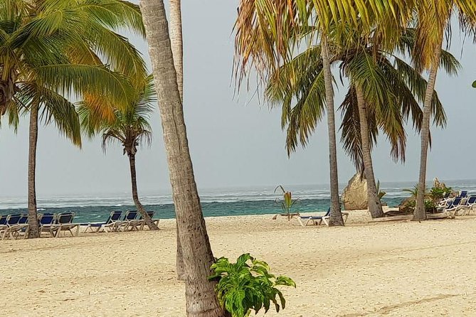 Snorkel Tour on Catalina Island - Inclusions