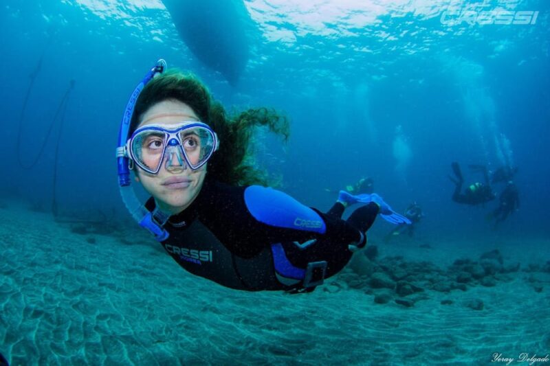 Snorkel Tour Why Not? - Experience Highlights