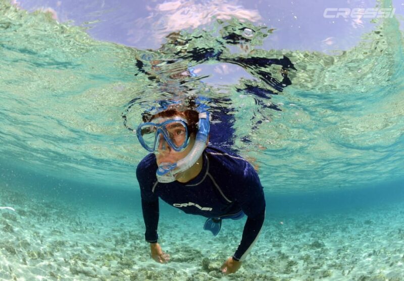 Snorkel Tour Why Not? - Why Choose This Snorkel Tour?
