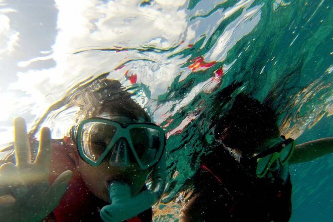 Snorkel trip + natural pool Bávaro - Key Points