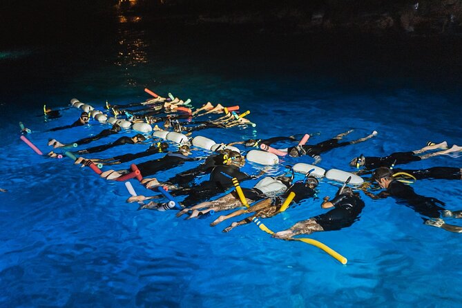 Snorkel With Manta Rays Guaranteed - What to Expect
