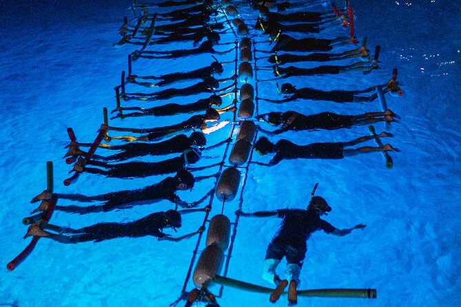 Snorkel With Manta Rays Guaranteed - Tour Inclusions