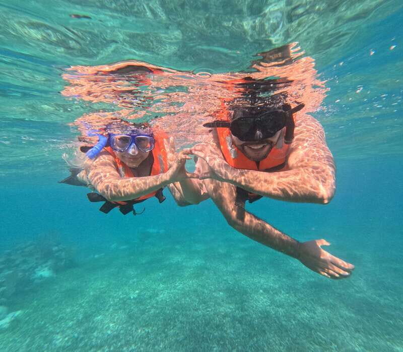 snorkel with tropical fish, reefs, and in search of turtles - What to Expect from the Tour