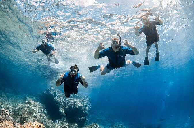 Snorkel with Turtles and Free Underwater Photos Lahaina - The Sum Up