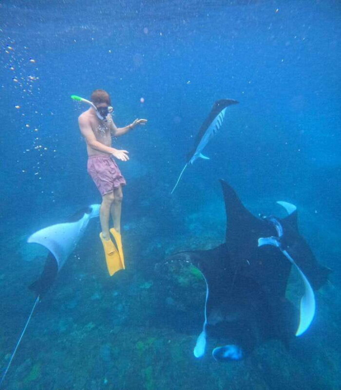 Snorkeling Activities + Western Side Nusa Penida Tour - Key Points
