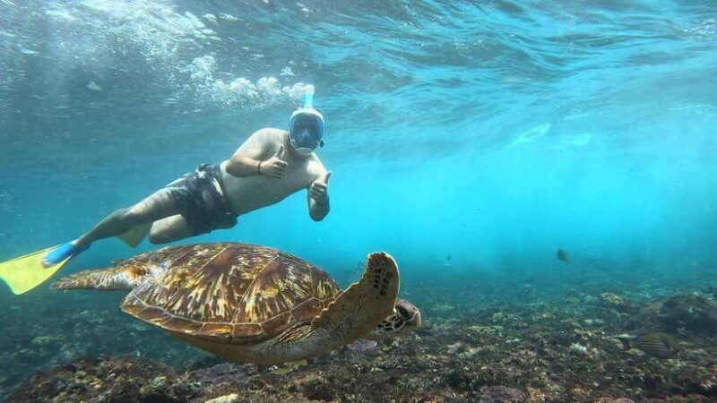 Snorkeling Activities + Western Side Nusa Penida Tour - What It’s Like to Be on the Tour