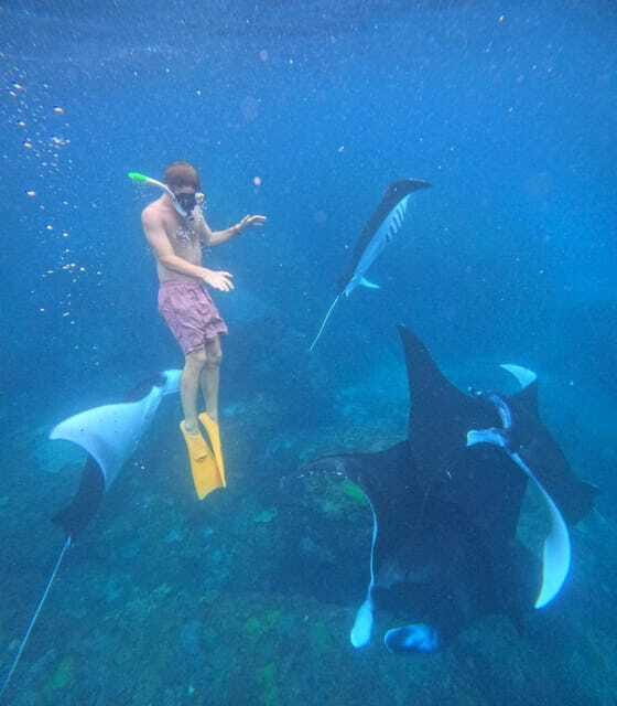 Snorkeling Activities + Western Side Nusa Penida Tour - Who Should Consider This Tour?