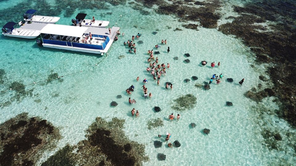 Snorkeling Activity in Stingray City Antigua - Transfer Inc. - Stingray Interaction Experience